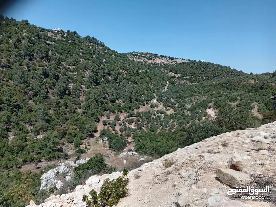 ارض ذات اطلاله ب اجمل جبال جرش بسعر مغري جداً 3900