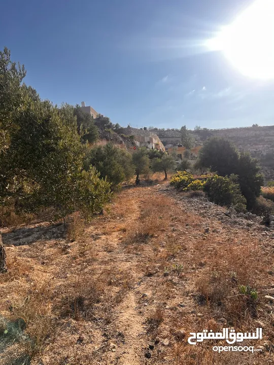 قطعة ارض مميزة في واد القف مرتفعة ومطلة