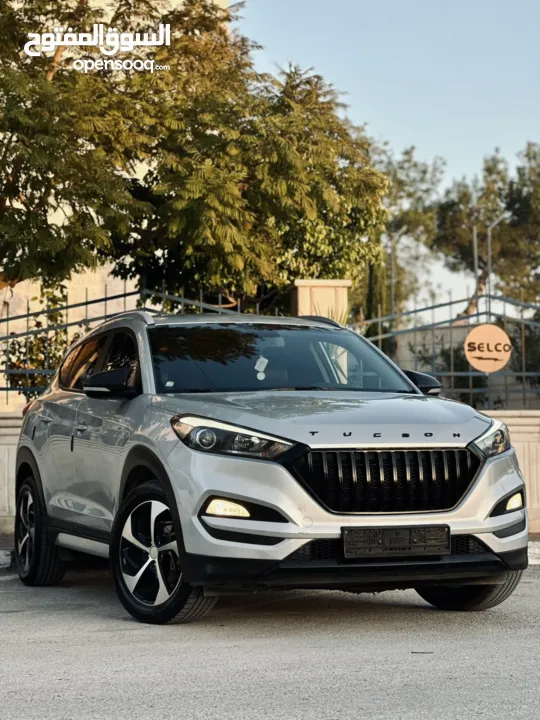 احمد سامي مغنم