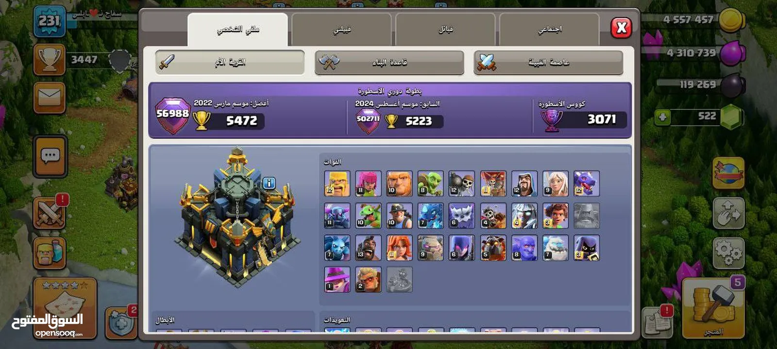 حسابات برول ستارز وايلد ريفت كلاش كلانس