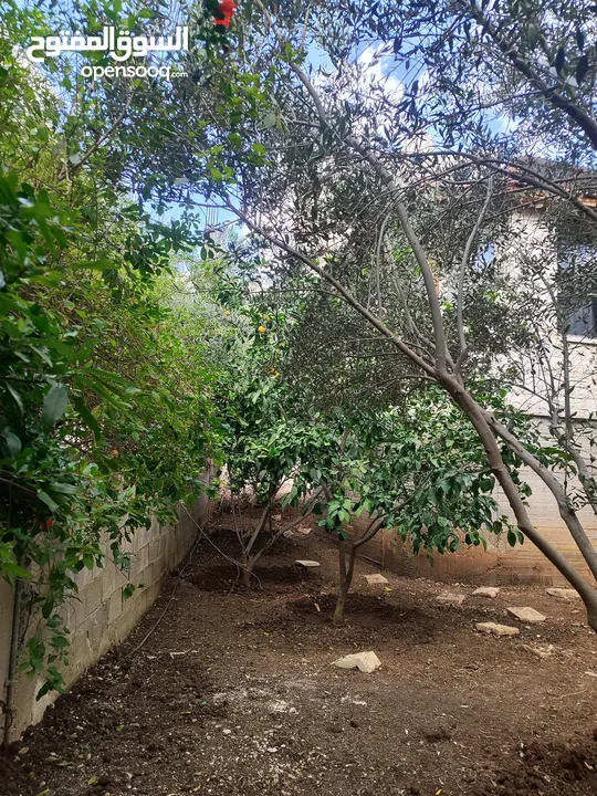 منزل منفصل للبيع