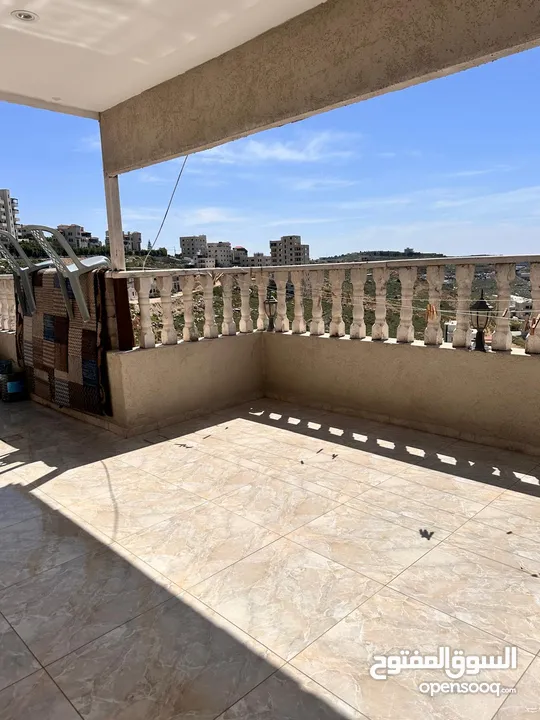 روفف فخر للبيعفي بتونيا
