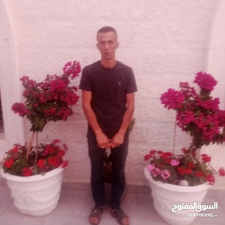 شجرنا انتاجنا