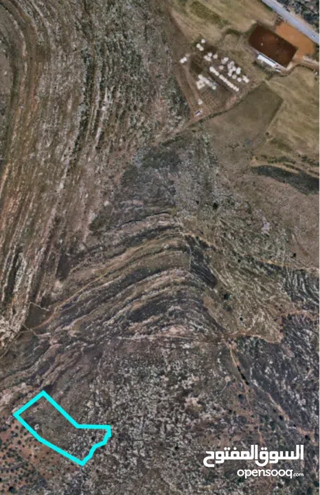 احمد ابو مصطفى