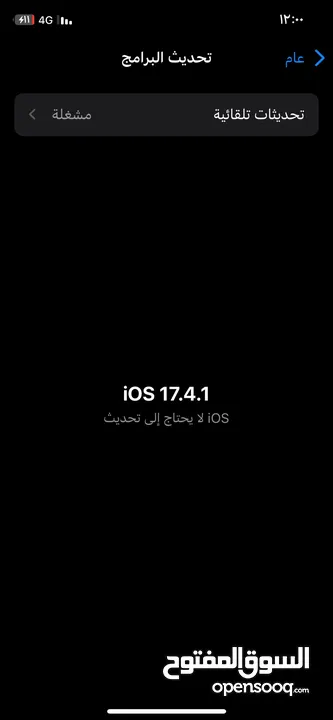 iPhone XS 256g B95%