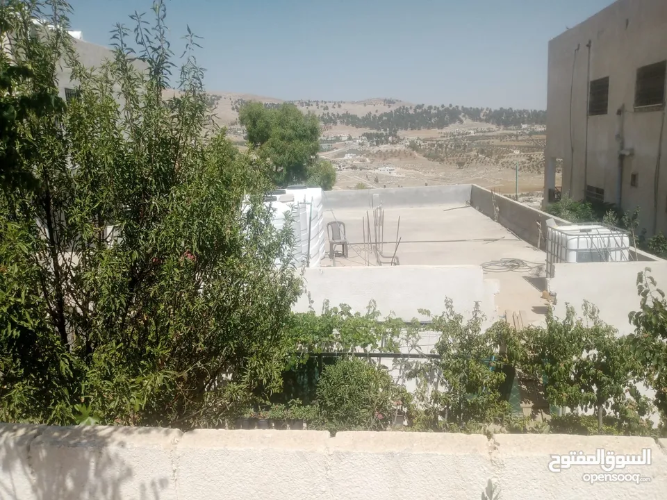 منزل مستقل جرش اسكان عجرمه  3غرف نوم 2حمام  صاله مع مطبخ امريكي  بلكونه  حديقه مساحه الارض 305