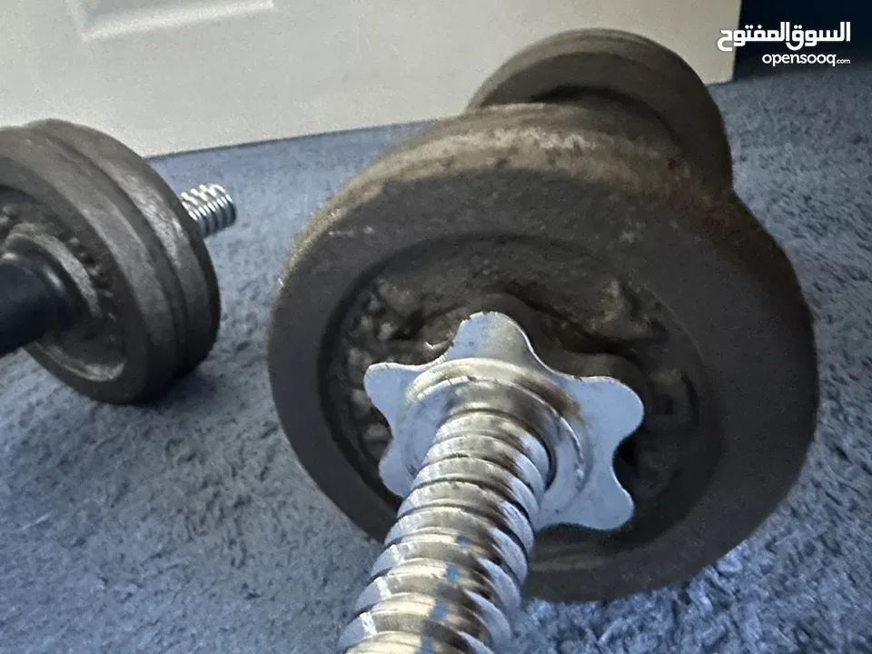 دمبلز حديد 10 كيلو dumbbells