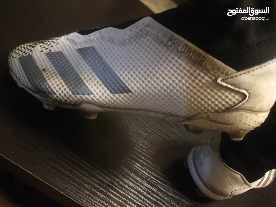 حذاء كرة قدم Adidas pretedor اصلي صناعة اندونيسيا اااااااااااأاااأاااااااااااااااااااااااااااااااااا