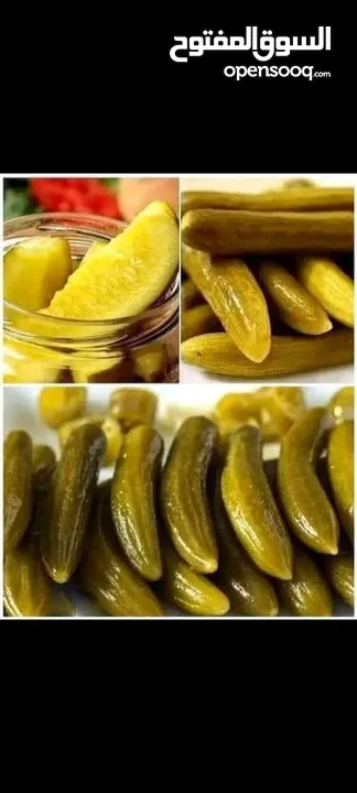 مطبخ بيت المونه الشهية