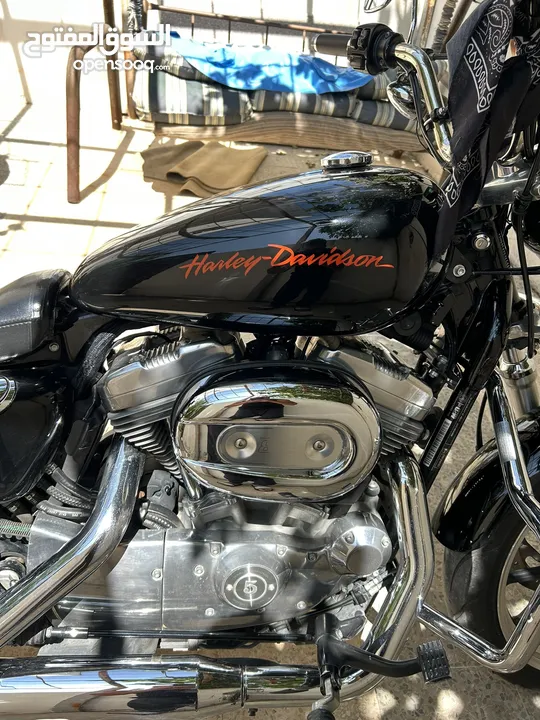Harley Davidson sporster