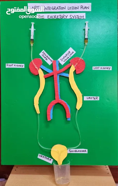 Science Project for School Kids 6th Grade