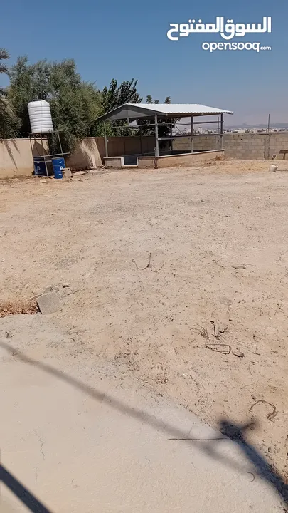 ارض للبيع في اريحا