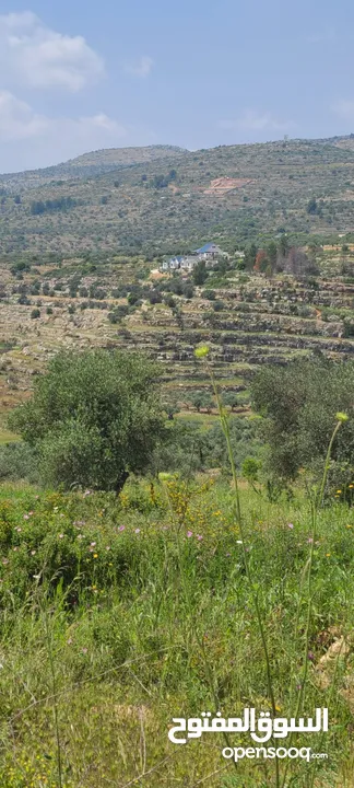 أرض للبيع من المالك مباشرة