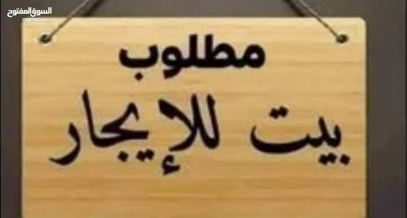 مطلوب شقة للايجار