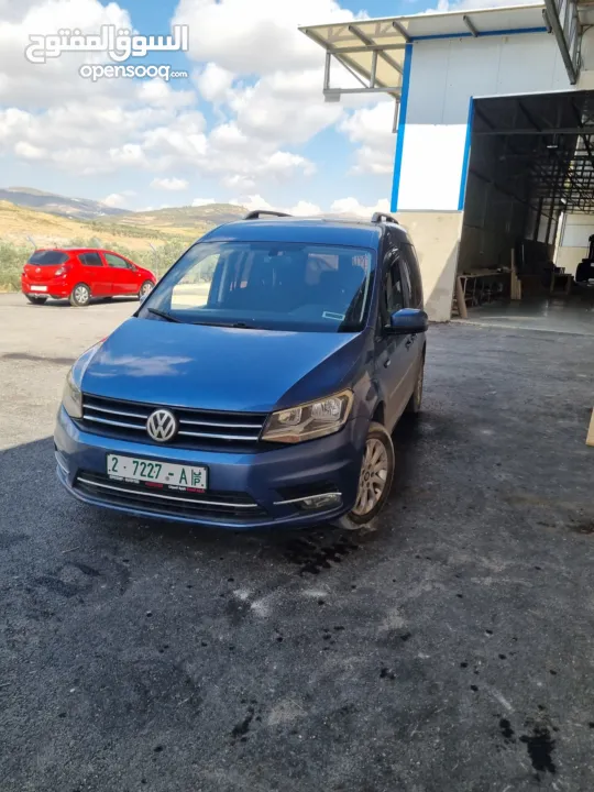 كادي ترخيص 2017 شصي قصير