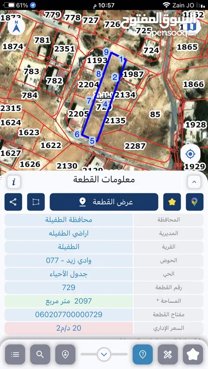 دونم ارض للبيع - الطفيلة - حي وادي زيد