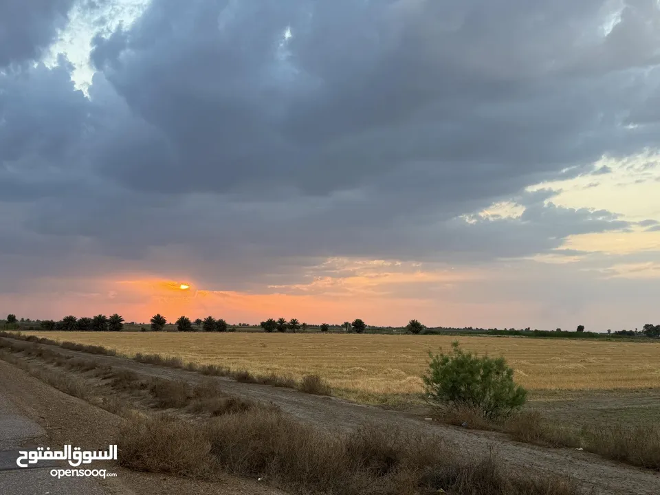 دونم للبيع في التاجي