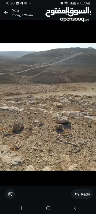 مطلوب ارض للشراء زينات الربوع