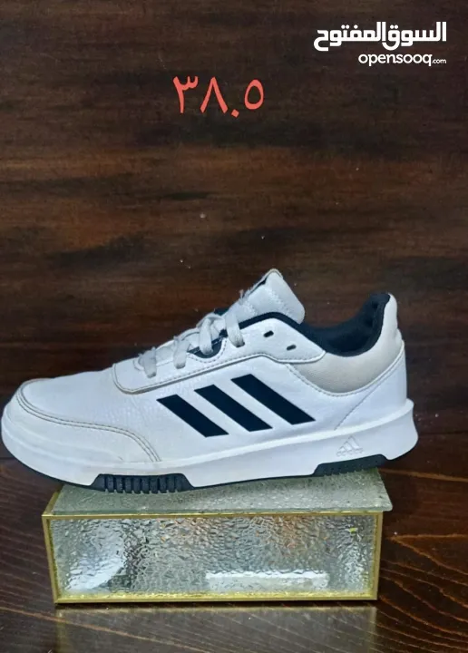 شروه احذية 60 جوز اصلي اوروبي منضف معقم جاهز للبيع