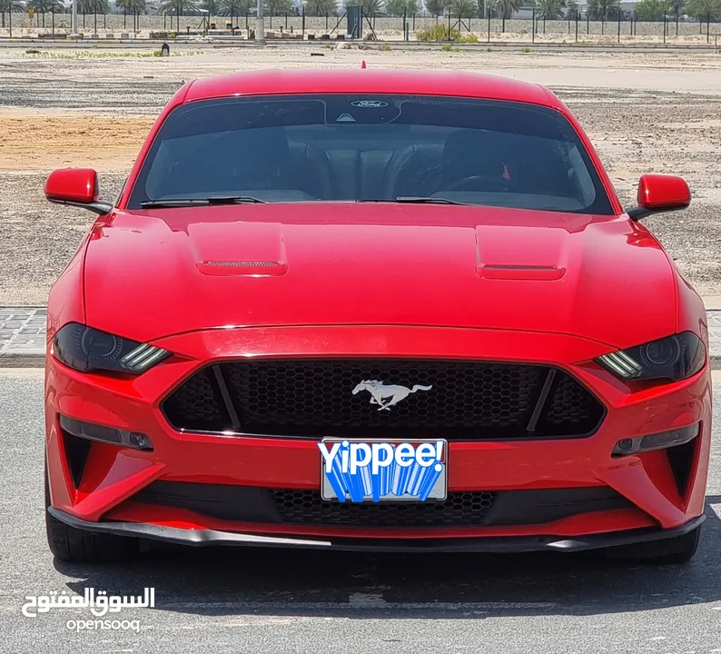 2021 GT Mustang