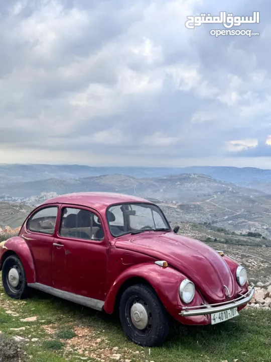 فولكس حبوشيت