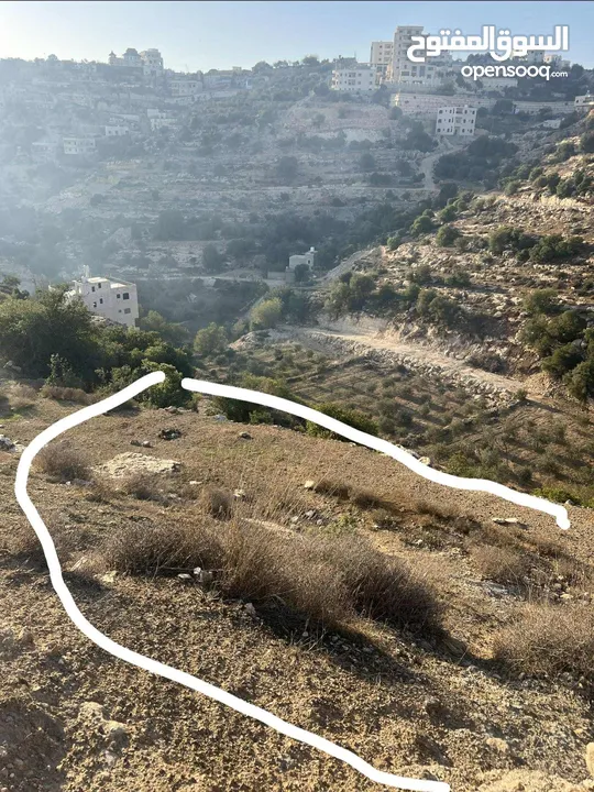 ارض واد الزرزير مطله وهادئه