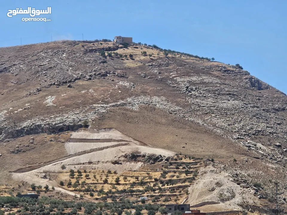 ارض للبيع في وادي شعيب