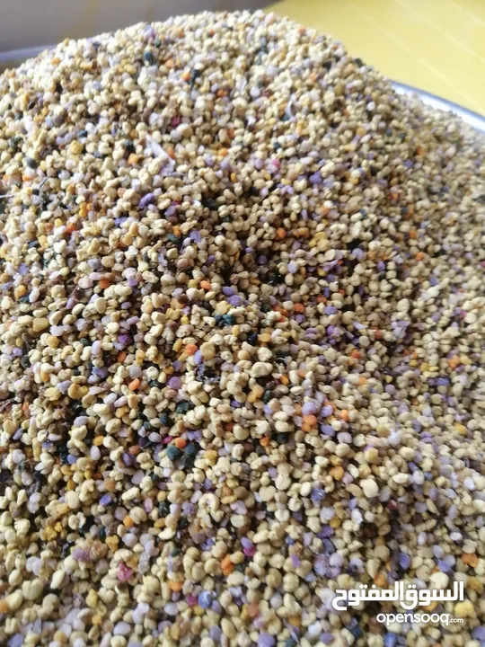 غذاء ملكات حبوب لقاح عسل طبيعي