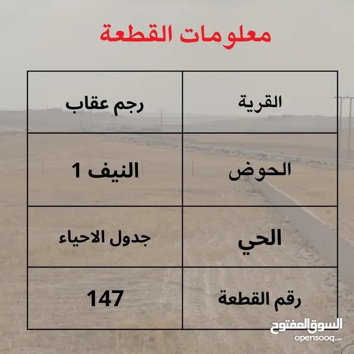 مشروع مزرعة العمر في جنوب عمان