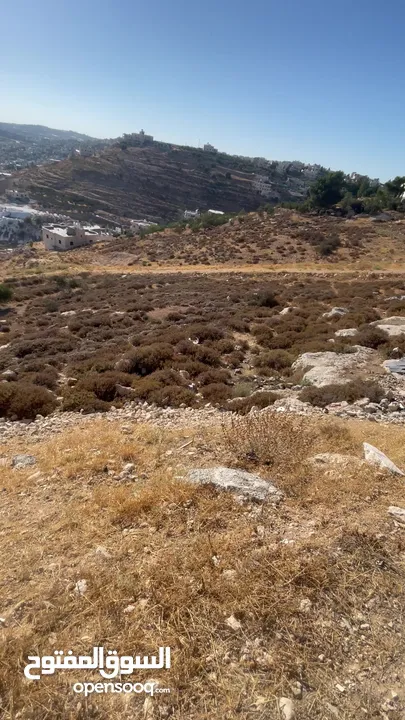 ارض للبيع طابو