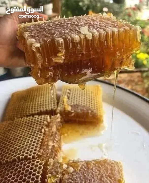 عسل 100/100مكفول