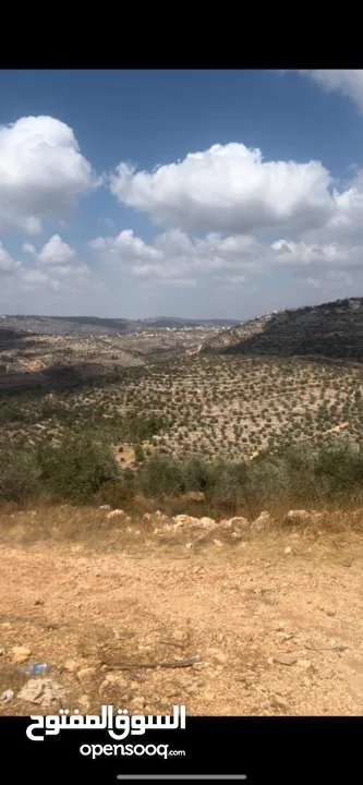 4 نمر ارض للبيع في منطقة خلابة قضاء رام الله من المالك مباشرة