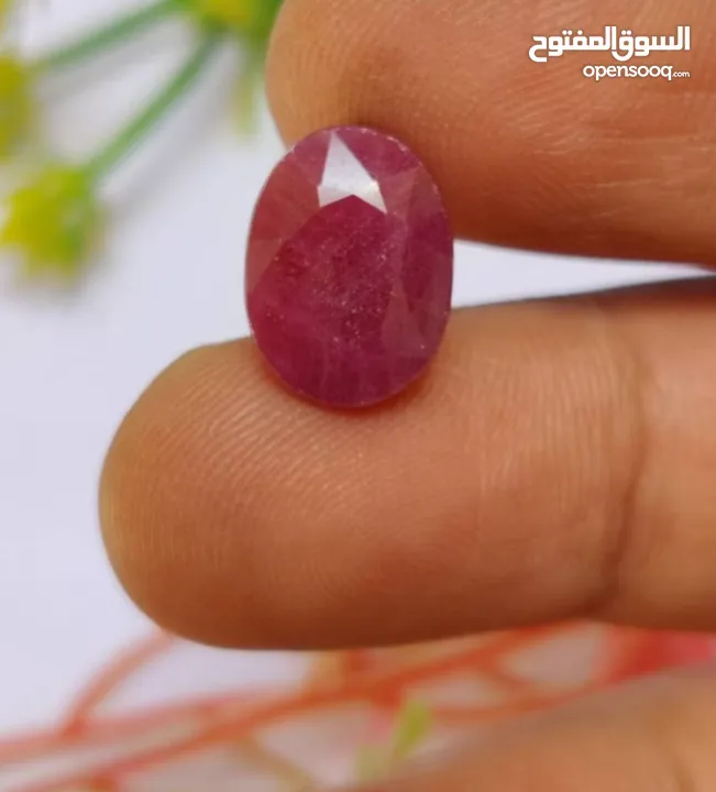 حجر ياقوت أحمر هندي طبيعي غير معالج مع ورقة فحص المختبر natural untreated indian ruby stone