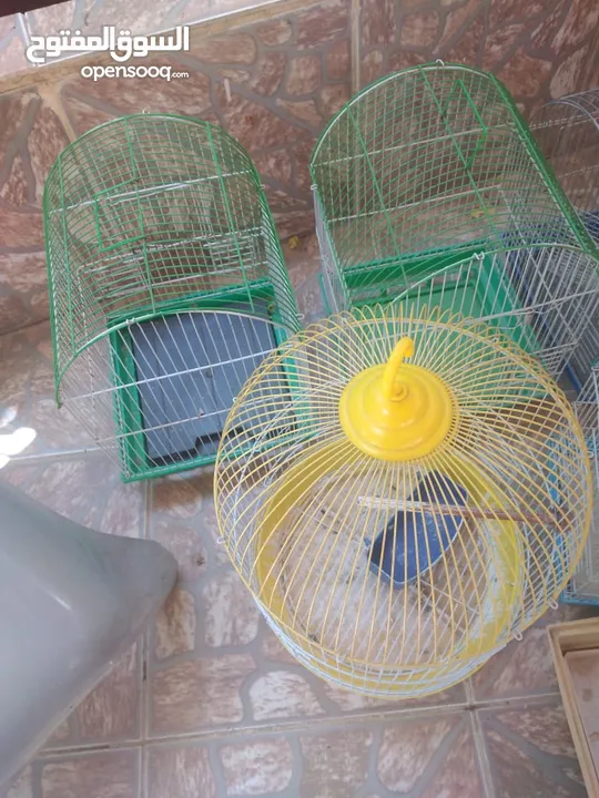5 أقفاص عصافير