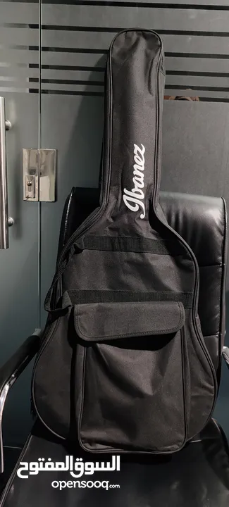 Seagull Entourage Autumn Burst Acoustic guitar – For Sale/Trade to any electronic items