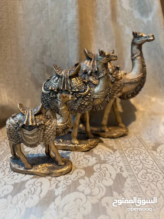 Beautiful 3-piece camels