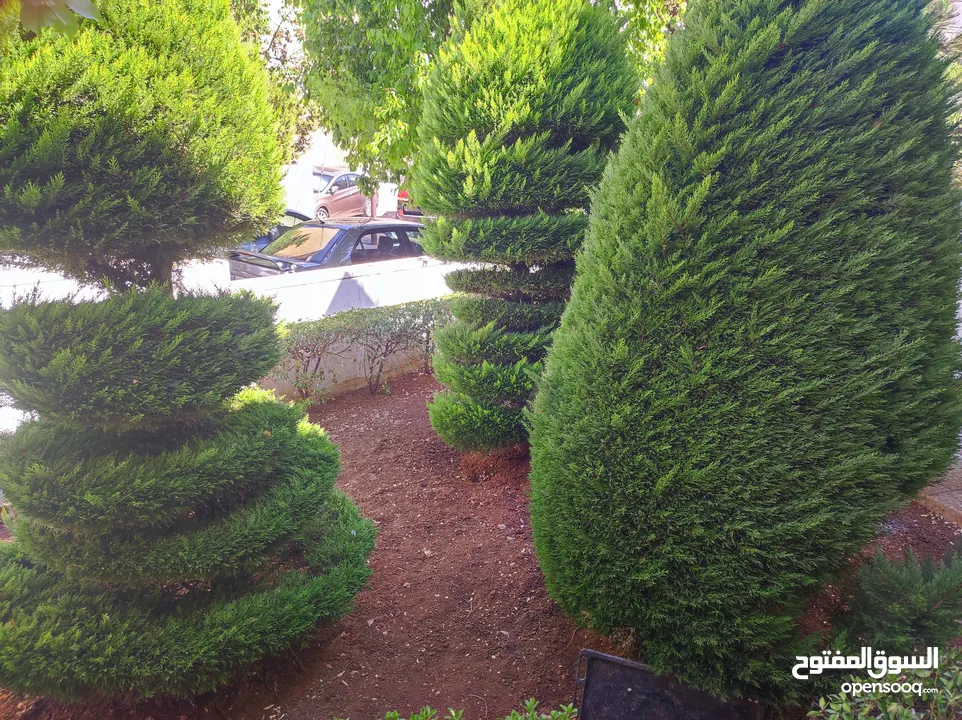 FOR RENT semi detached villa