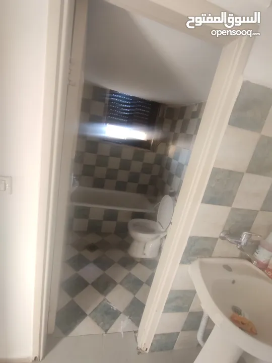 شقة للايجار