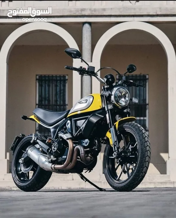 Ducati scrambler 803 ICON