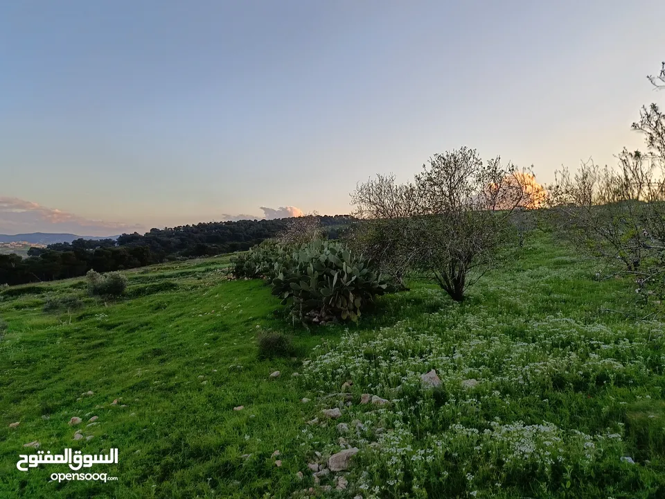 مشروع سلحب الاول