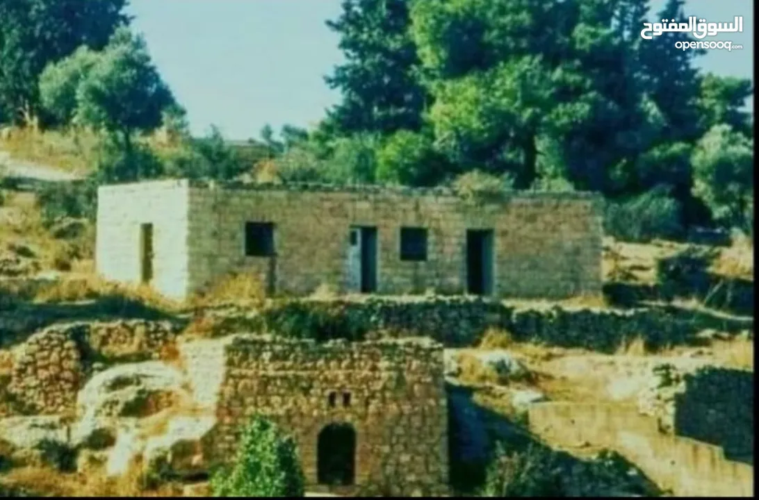قطعت ارض في أم جوزه دنم و 23 متر (قابل  للتفاوض)موقع رائع الحجر مستورد من نابلس و انبا في 1950