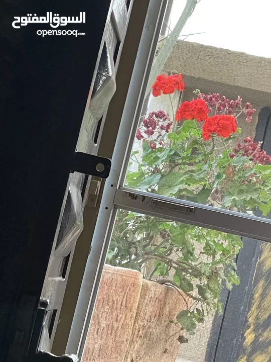 شقة للإيجار