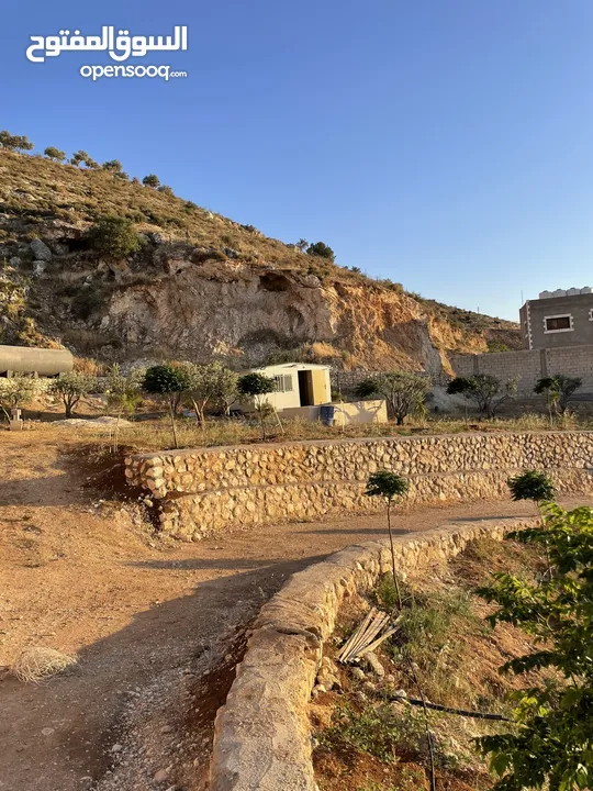 مزرعة في مغاريب السلط من المالك مباشرة