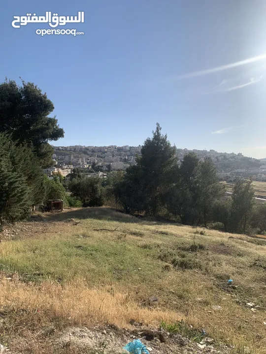 قطعه ارض مميزه في صافوط اراضي شمال عمان