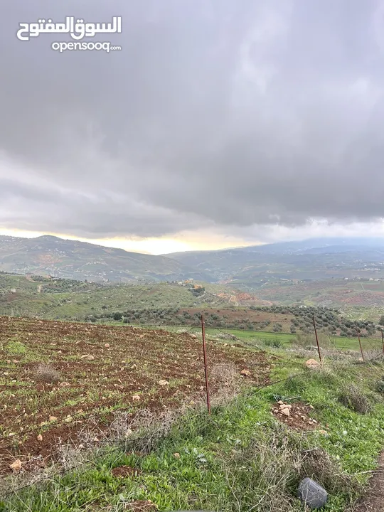 ارض للبيع في جرش الكفير بجانب عنيبه 3400متر مفروزه بقوشان مستقل مطله اطلاله عالغرب والجنوب