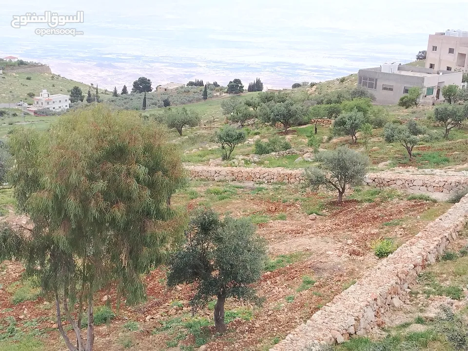 2300 م السلط المغاريب قطعة ملوكية تصلح ل فيلا او مزرعة اطلالة ع الغرب و جبال فلسطين