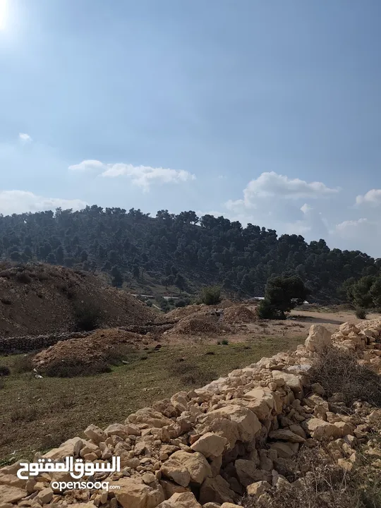 1600 متر للبيع في الصفا - حلحول