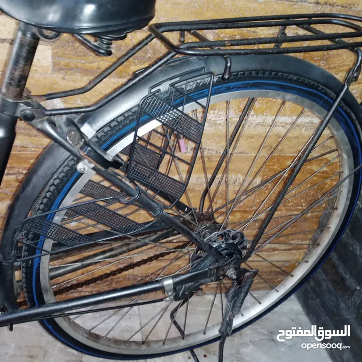بسكليت امريكي