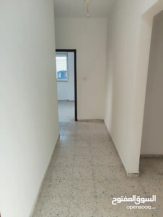 شقه للايجار في عماره النجاح