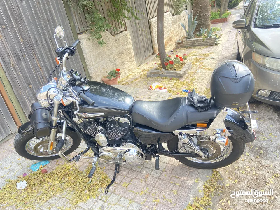 Harley Davidson sporstar Custom 1200 2014 ABS